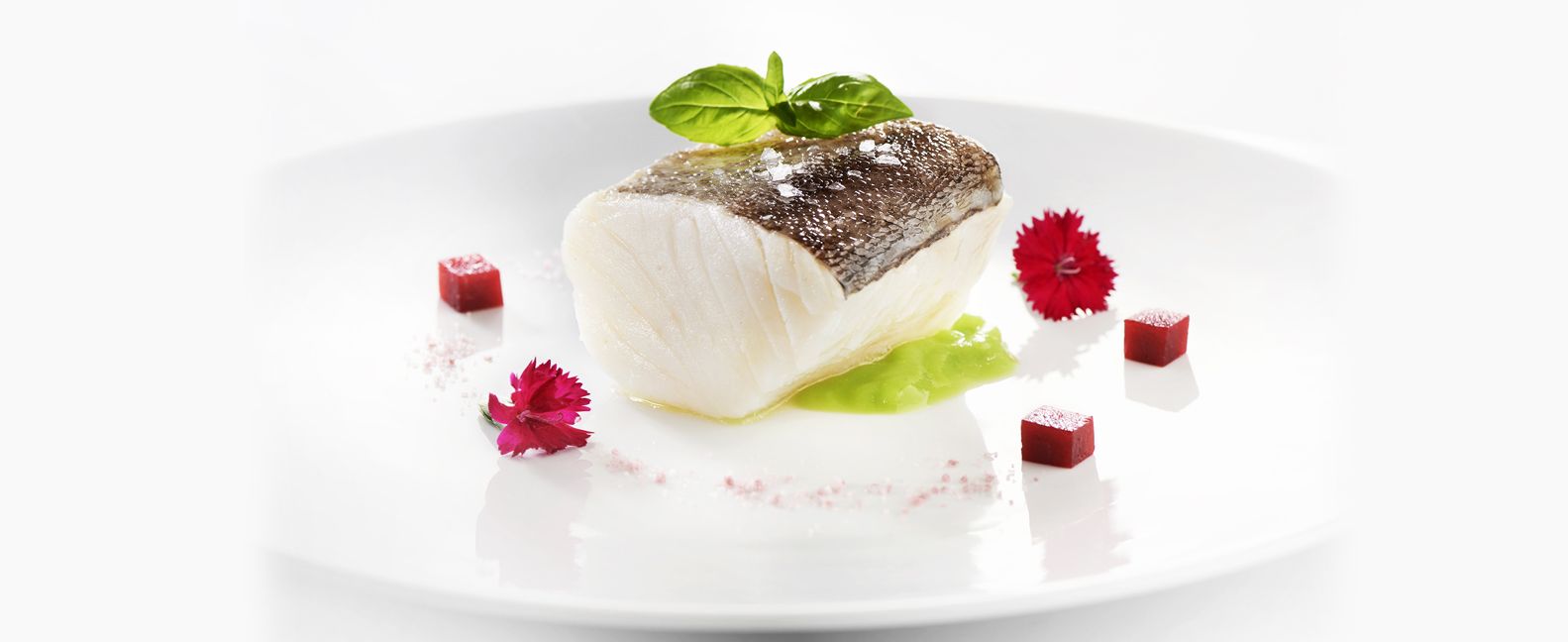 Catering Plato 2